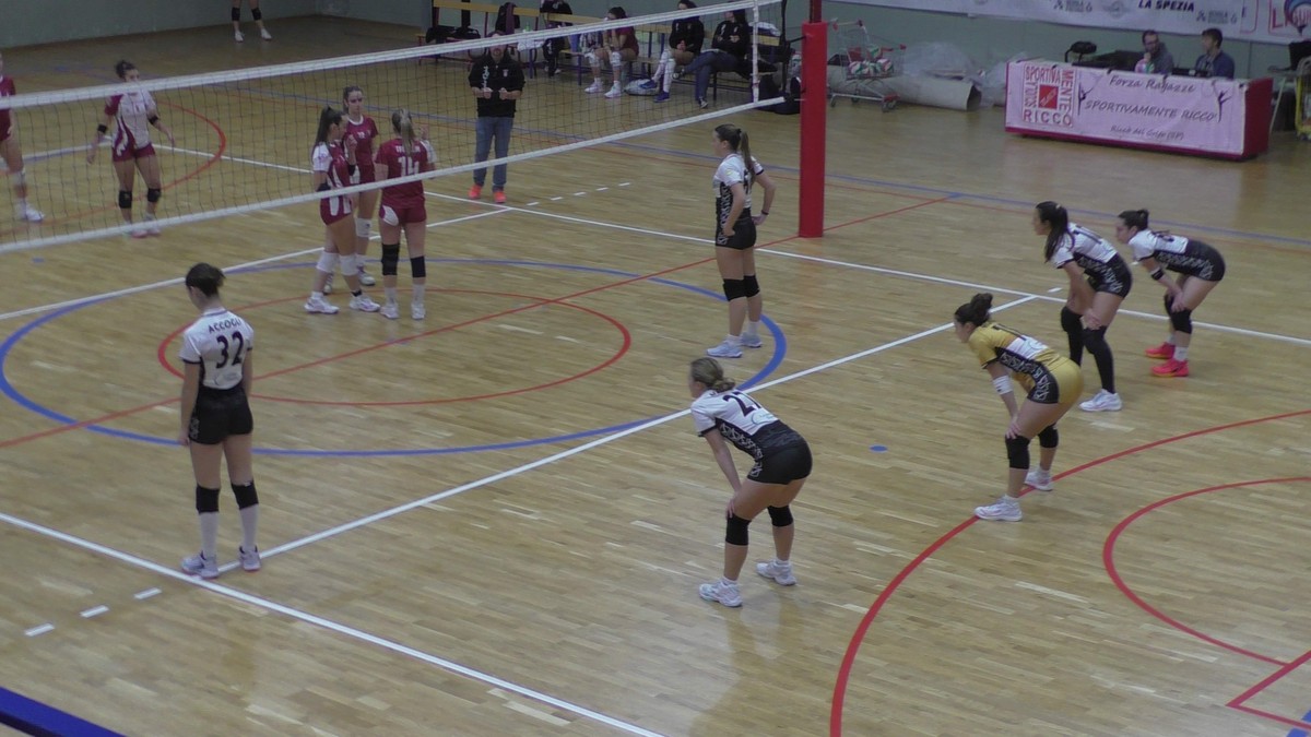 Pallavolo - Senza sbavature la Elsel Spezia contro Quinto ...
