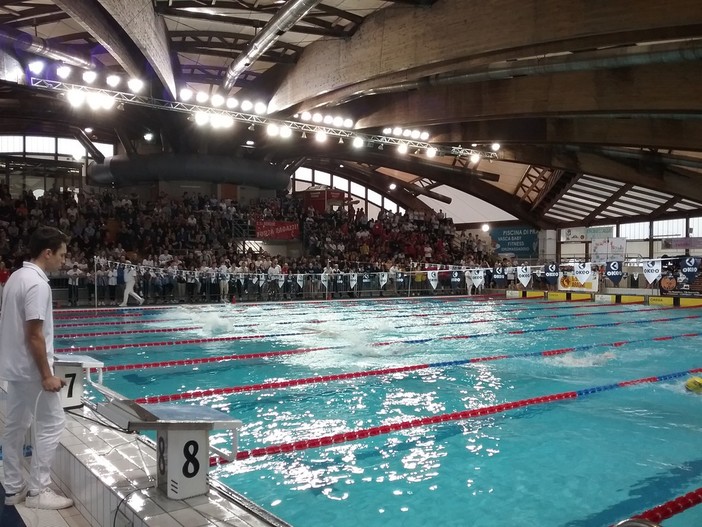 La piscina La piscina