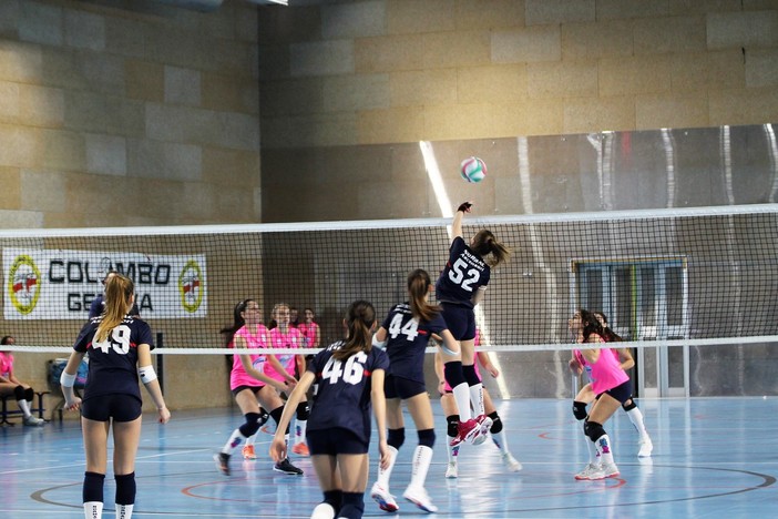 Normac Volley Plan Campione Territoriale Under 14