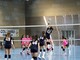 Normac Volley Plan Campione Territoriale Under 14
