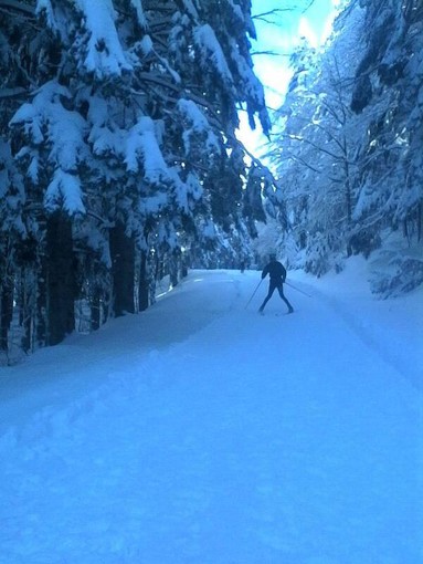 Inchiesta sullo sci di fondo in Val d'Aveto: le risposte dello Ufficio IAT di Santo Stefano d'Aveto