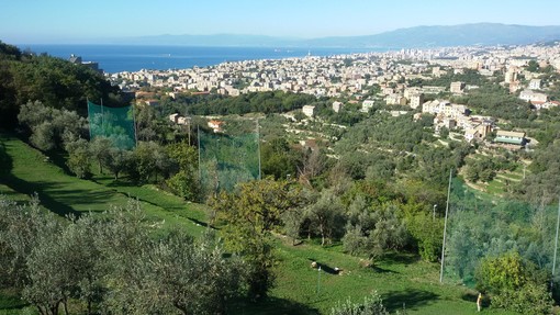 CUS Genova Golf Academy, Domenica 27 ottobre è “Open Day”