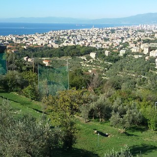 CUS Genova Golf Academy, Domenica 27 ottobre è “Open Day”