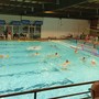 PALLANUOTO A2M: capolavoro Bogliasco! La Lazio cade 14-12, la semifinale playoff si deciderà alla “bella” PALLANUOTO A2M: capolavoro Bogliasco! La Lazio cade 14-12, la semifinale playoff si deciderà alla “bella”