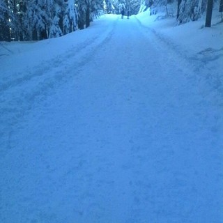 Inchiesta sullo sci di fondo in Val d'Aveto: la posizione del sindaco di Santo Stefano d'Aveto