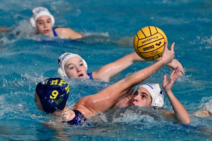 PALLANUOTO/A1F: BOGLIASCO LOTTA, RAPALLO VINCE PALLANUOTO/A1F: BOGLIASCO LOTTA, RAPALLO VINCE