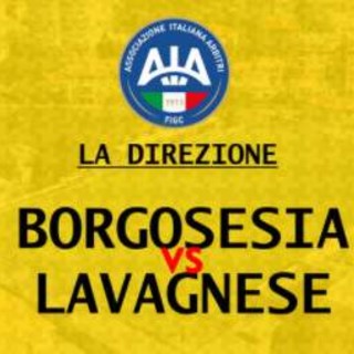 Serie D: la designazione del recupero Borgosesia - Lavagnese