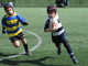 Le nuove regole del minirugby
