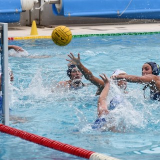 PALLANUOTO / RAPALLO, NETTA VITTORIA NEL DERBY CON IL BOGLIASCO