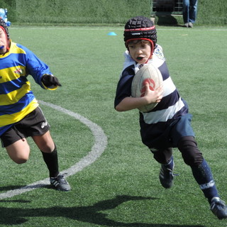 Le nuove regole del minirugby