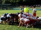 RUGBY Il resoconto del week end delle liguri