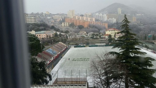 LA FOTO - La neve sul campo di Begato