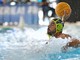PALLANUOTO A1, Salerno - Pro Recco 10-15