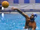 PALLANUOTO A1 - Florentia-Pro Recco 3-21