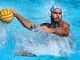 PALLANUOTO La Pro Recco a Ostia per preparare la Final 8