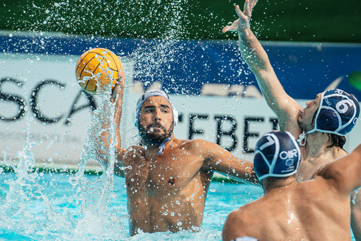 PALLANUOTO Champions League, domani per la prima volta una gara europea alla Ferro PALLANUOTO Champions League, domani per la prima volta una gara europea alla Ferro