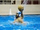 PALLANUOTO Vigilia di Champions, Verona aspetta Pro Recco - Osc