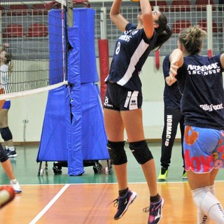 Normac AVB lotta, ma deve cedere