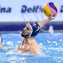 PALLANUOTO QUINTO Per l’attacco c’è Drasko Gogov