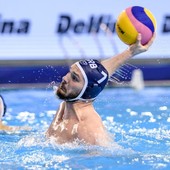 PALLANUOTO QUINTO Per l’attacco c’è Drasko Gogov