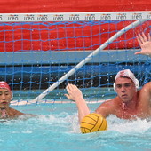 PALLANUOTO Niccolò Gambacciani saluta il Quinto: "Qui sono cresciuto come atleta e come persona"