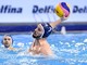 PALLANUOTO QUINTO Per l’attacco c’è Drasko Gogov