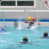 PALLANUOTO Rapallo vince ancora: 16-9 su Trieste e primo posto solitario in classifica