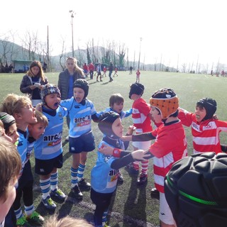 PRO RECCO RUGBY - Aggiornamenti dalle giovanili (U12 - U8 - U18)