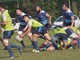 Pro Recco Rugby: gli Squali verso il derby