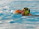 PALLANUOTO Ch. League, Ortigia - Pro Recco 7-10