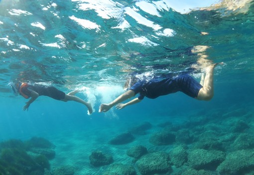 SNORKELING E SERATA DIVULGATIVA PER SCOPRIRE IL MARE DI LAIGUEGLIA
