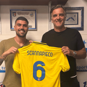 LIGORNA Capitan Scannapieco rinnova: sarà biancazzurro fino al 2028 In arrivo LIGORNA Capitan Scannapieco rinnova: sarà biancazzurro fino al 2028 In arrivo