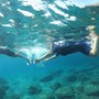 SNORKELING E SERATA DIVULGATIVA PER SCOPRIRE IL MARE DI LAIGUEGLIA