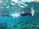 SNORKELING E SERATA DIVULGATIVA PER SCOPRIRE IL MARE DI LAIGUEGLIA