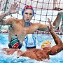 PALLANUOTO Marko Bijac è un nuovo giocatore della Pro Recco