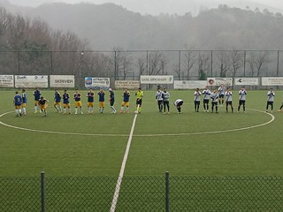 mele sangio