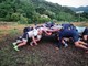 PRO RECCO RUGBY - VIA AI PLAY OUT: A GENOVA ARRIVA IL VALPOLICELLA RUGBY