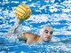 PALLANUOTO Andrea Mladossich è un nuovo giocatore della Pro Recco