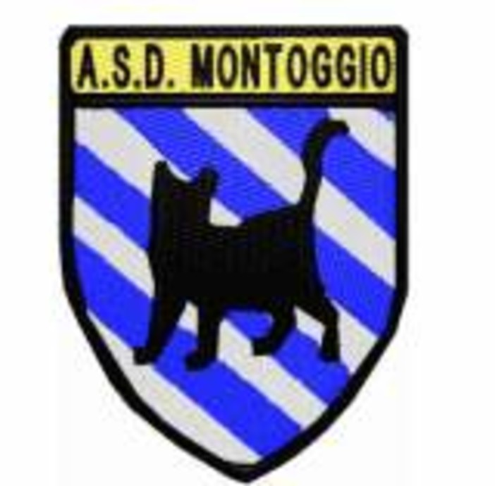 GLI ARBITRI - Il parere di Stefano Callegaro del Montoggio