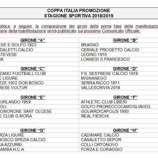 Coppa Italia Promozione, ecco gli 8 gironi
