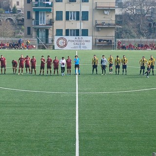 PONTEX MELE PONTEX MELE