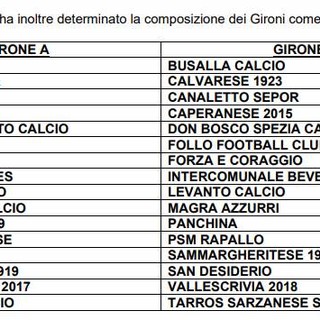 PROMOZIONE Ecco i due gironi