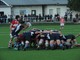 PRO RECCO RUGBY - IL “DERBY” È DEGLI SQUALI!