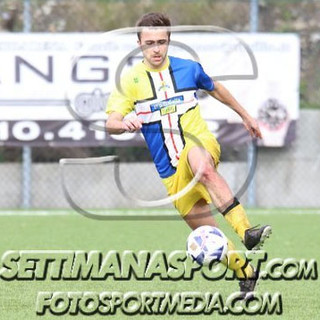 PRIMA C TOP 11