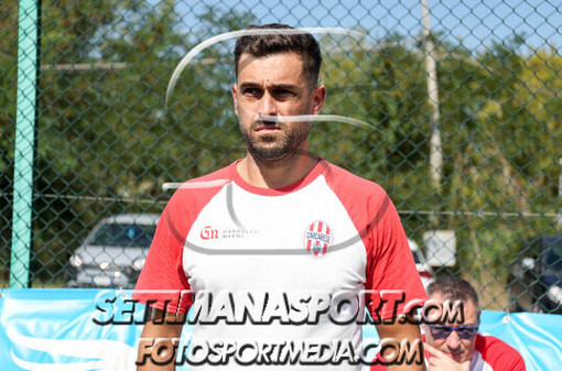 I TOP 11 DI ECCELLENZA I TOP 11 DI ECCELLENZA