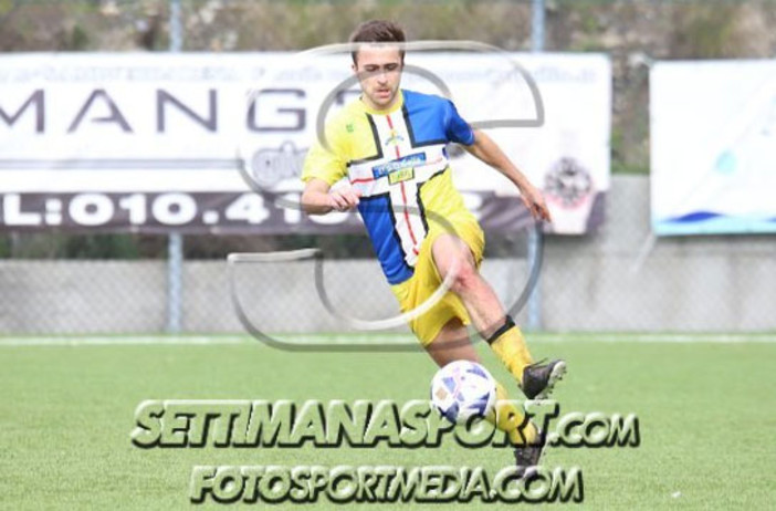 PRIMA C TOP 11 PRIMA C TOP 11