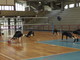 Pallavolo - Un derby regionale per la Trading Logistic Spezia