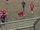 Calcio - Il Magrazzurri riparte dalla &quot;Samm&quot;
