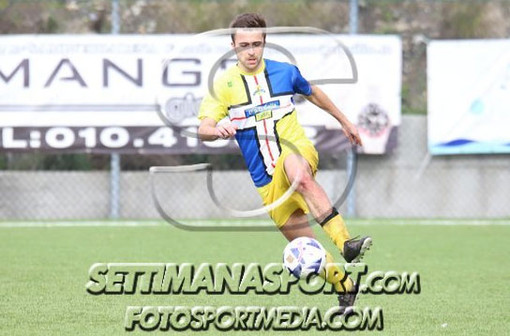 PRIMA C TOP 11