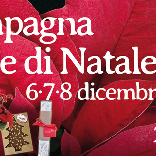 6 Dicembre, PalaDonBosco, ore 18: sul campo, e fuori, tante… Stelle!